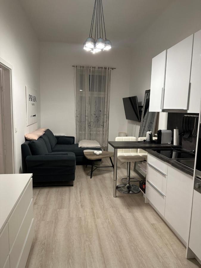 Comf. Apart Near The City - 13 Minutes To 1St Vienna Exterior photo